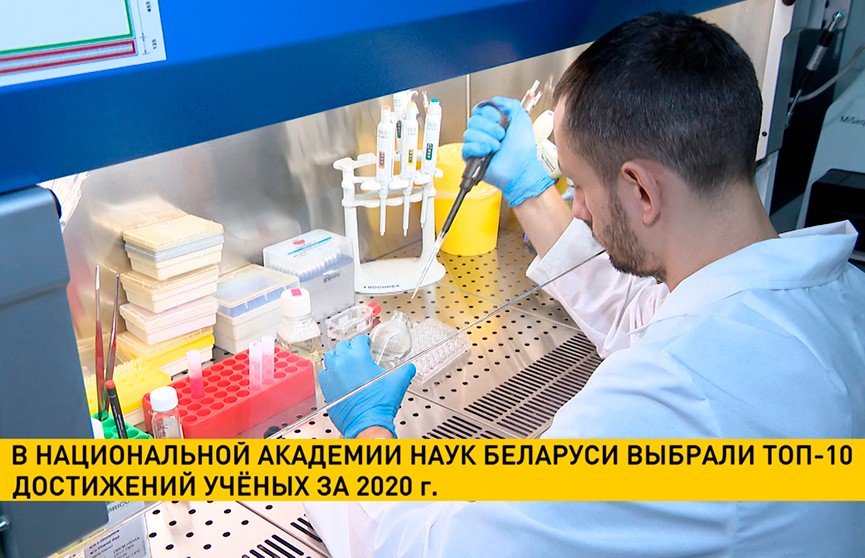 В Национальной академии наук Беларуси выбрали топ-10 результатов ученых за 2020 год