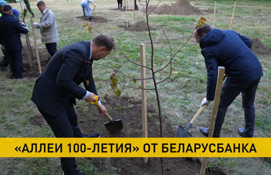 Беларусбанк ко Дню народного единства организовал масштабную экологическую акцию