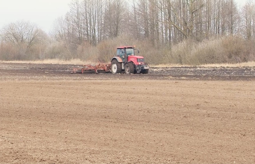 Посевная на севере и юге Беларуси: как влияют капризы погоды на работу аграриев в разных областях страны?