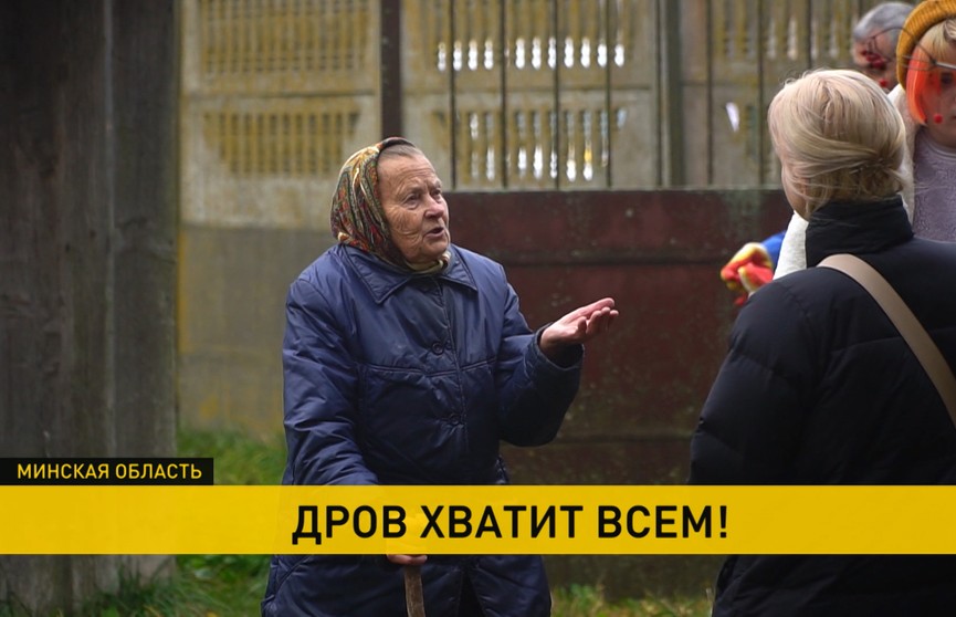 Журналисты газеты «Минская правда» подарили нарубленные дрова одинокой бабушке