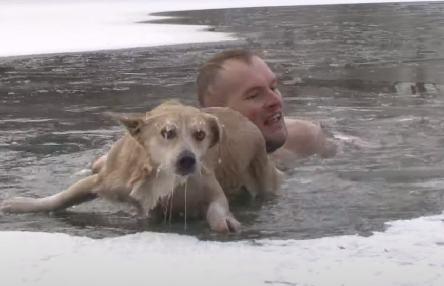 Журналист во время съемки репортажа про зимующих уток спас провалившуюся под лед собаку