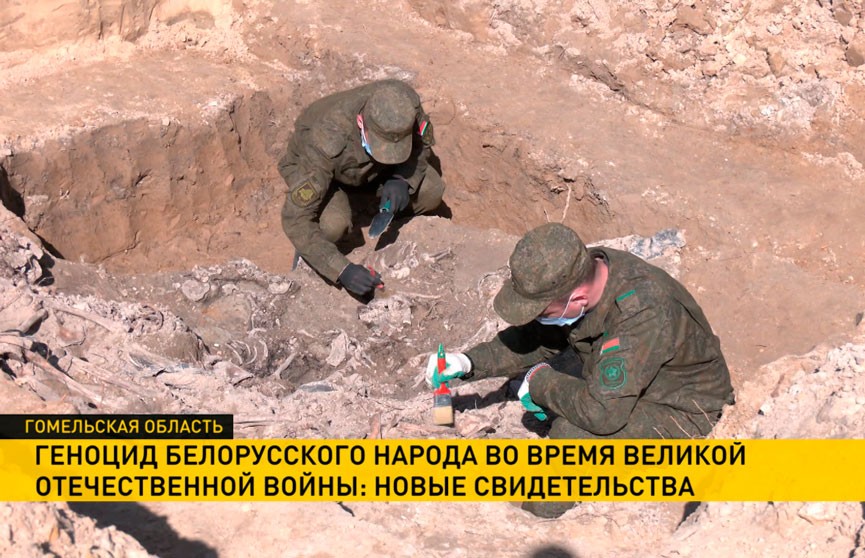В Хойникском районе нашли ранее неизвестное захоронение времен Великой Отечественной войны