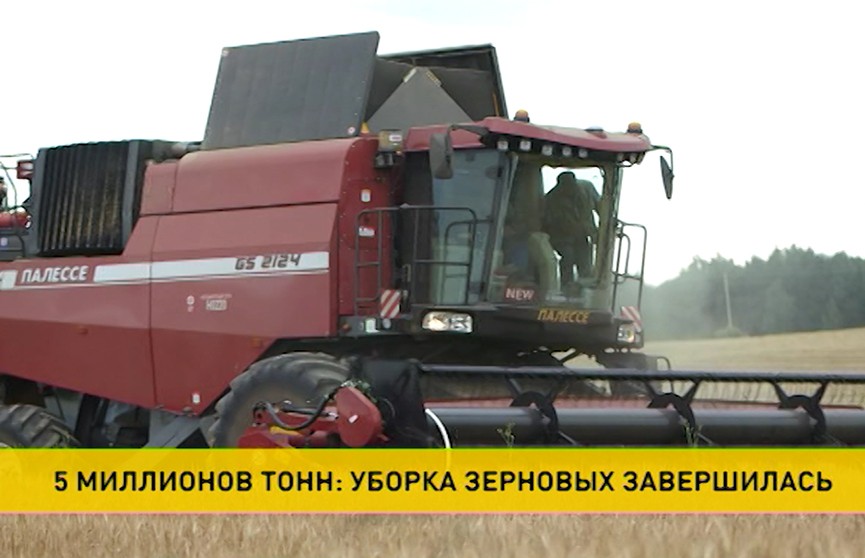 На белорусских полях завершена уборка зерновых