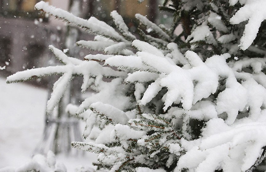 Синоптики предупредили об оранжевом уровне опасности 27 ноября из-за снега