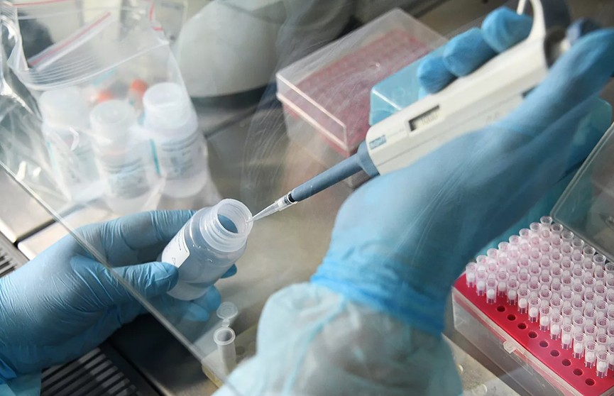 ВОЗ передала Беларуси  наборы для проведения 6 тысяч тестов на коронавирус
