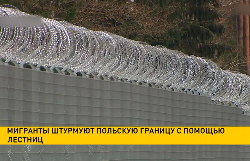 Польские пограничники поймали мигрантов, пытавшихся пересечь стену на границе