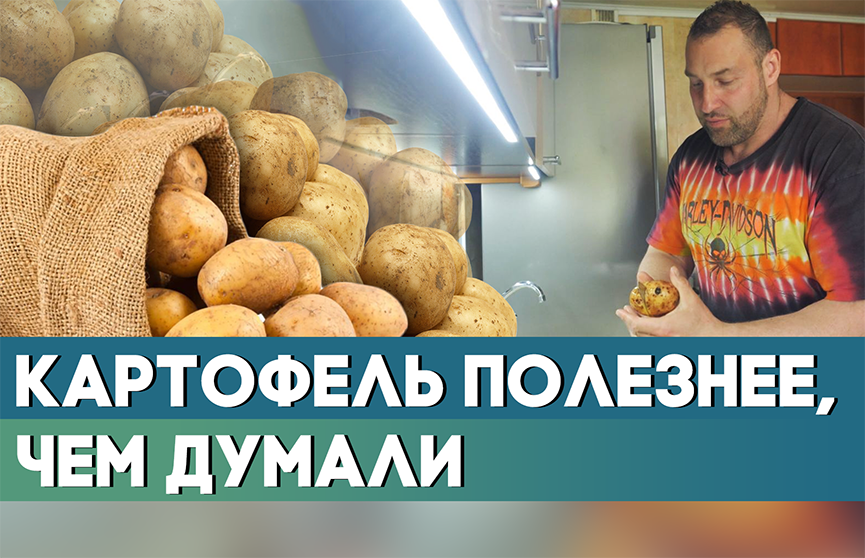 Картофель всему голова: полезные свойства продукта и секреты правильного приготовления