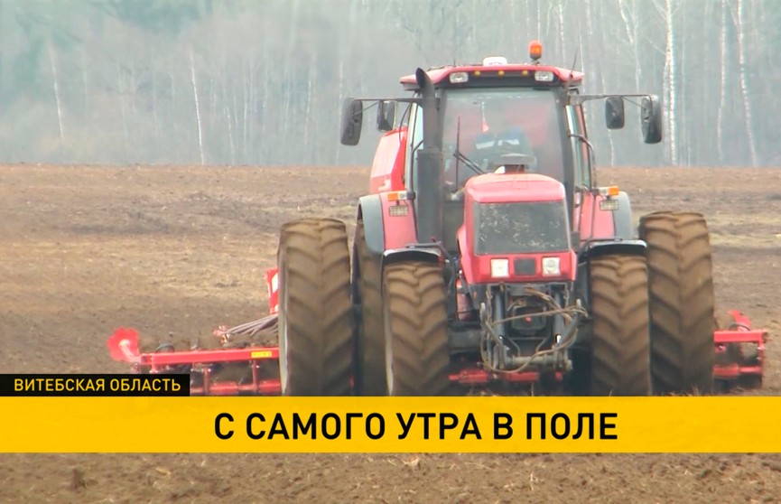 Все хозяйства Витебской области приступили к севу зерновых: погода сдерживает темпы, но техника – с утра в поле