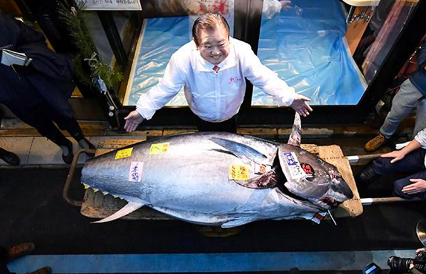 Голубого тунца продали в Японии за $1,8 млн