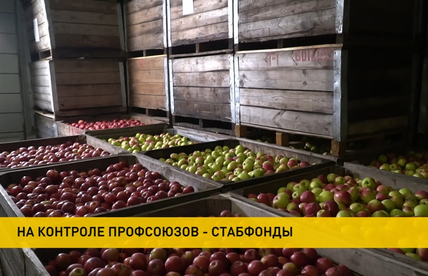 Федерация профсоюзов Беларуси проводит мониторинг использования продукции стабфондов