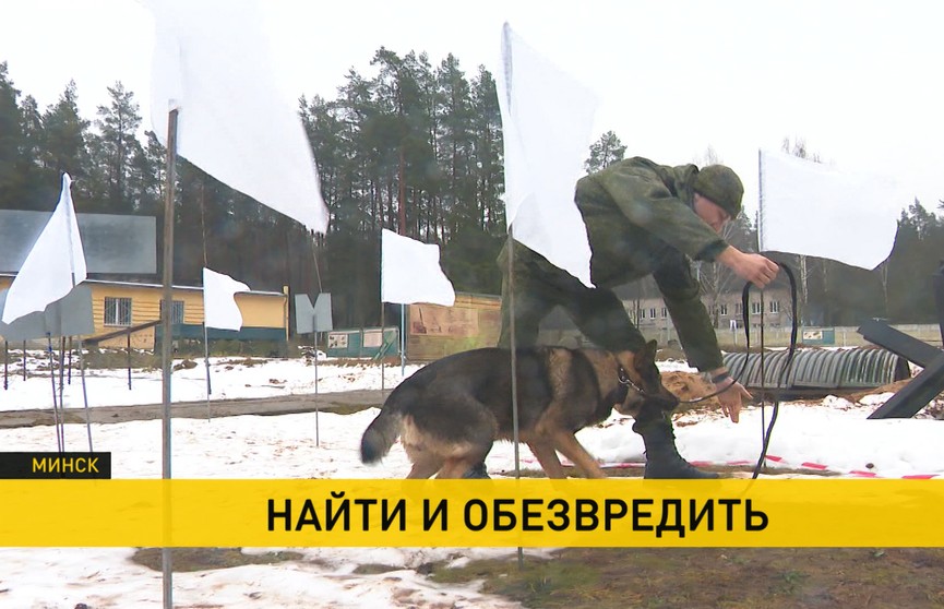 Как работает противоминный центр Вооруженных Сил Беларуси – наблюдали корреспонденты ОНТ