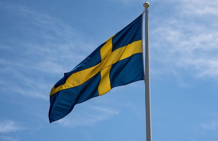 Министр обороны Швеции исключил отправку войск страны на Украину