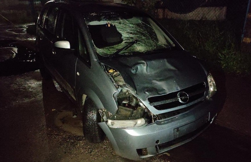 В Бобруйске арестован водитель, который, будучи пьяным, насмерть сбил пешехода и скрылся