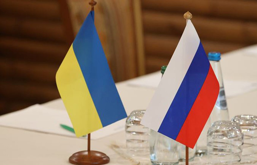 Член украинской делегации оценил, сколько продлятся переговоры с Россией