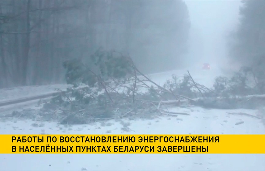 Метель и порывистый ветер: энергоснабжение восстановлено в пострадавших от непогоды населенных пунктах Беларуси