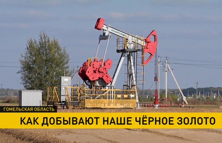 Белорусское черное золото. В «Белоруснефти» рассказали, как добывают нашу нефть