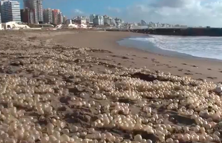 Видеофакт: аргентинский пляж усыпало «жемчугом»