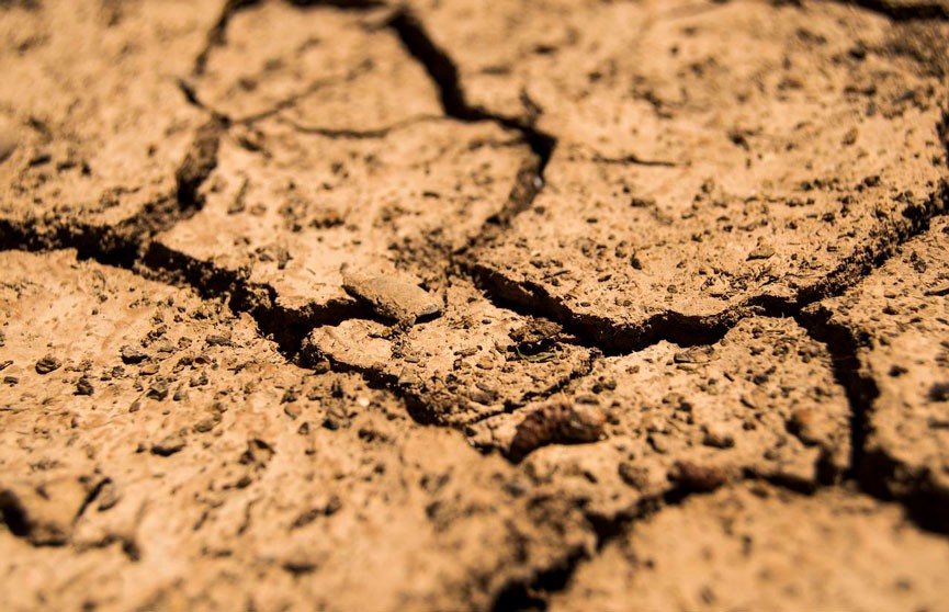 Засуха в Италии: власти северного региона объявили режим ЧП