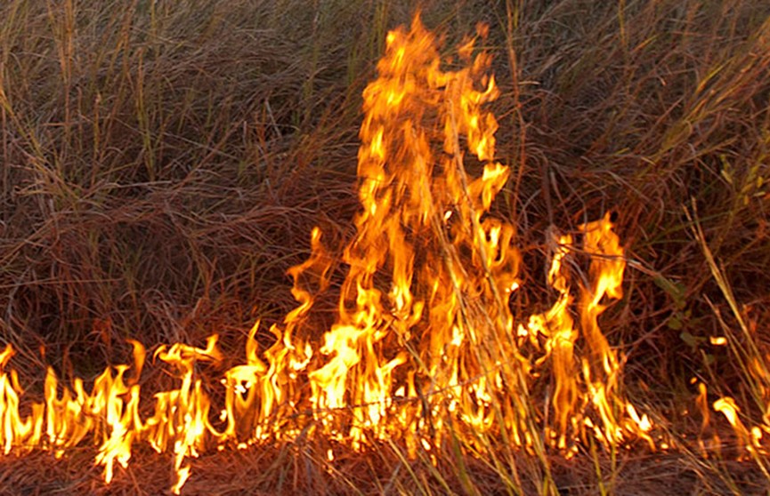 Природные пожары бушуют в Австралии