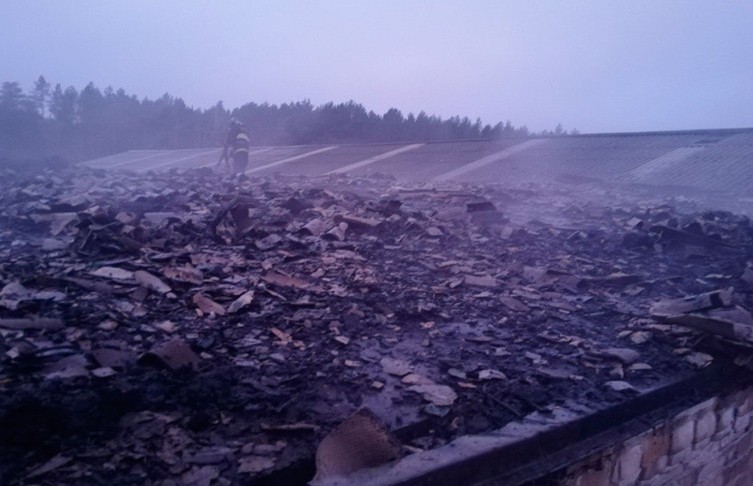 Коровник горел в Лельчицком районе: более 260 телят эвакуировали