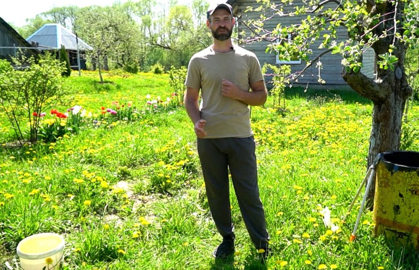Как правильно прививать яблоню весной, рассказал садовник Кастрицкий