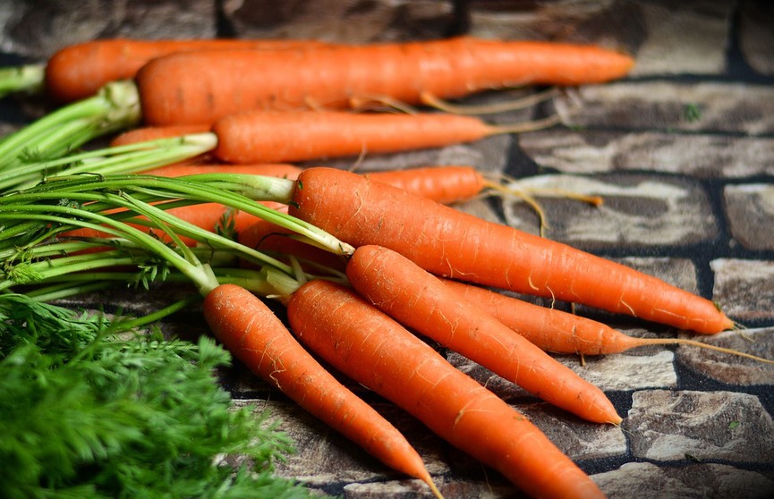 Полезные свойства моркови: почему стоит добавить овощ в ежедневный рацион?