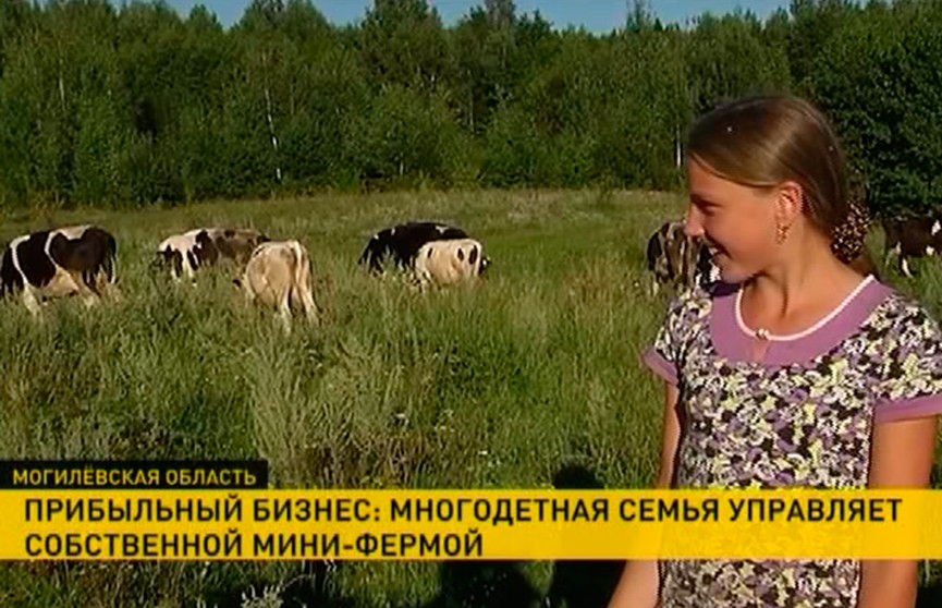 Семейная мини-ферма в Климовичском районе: секреты успеха «молочного» бизнеса
