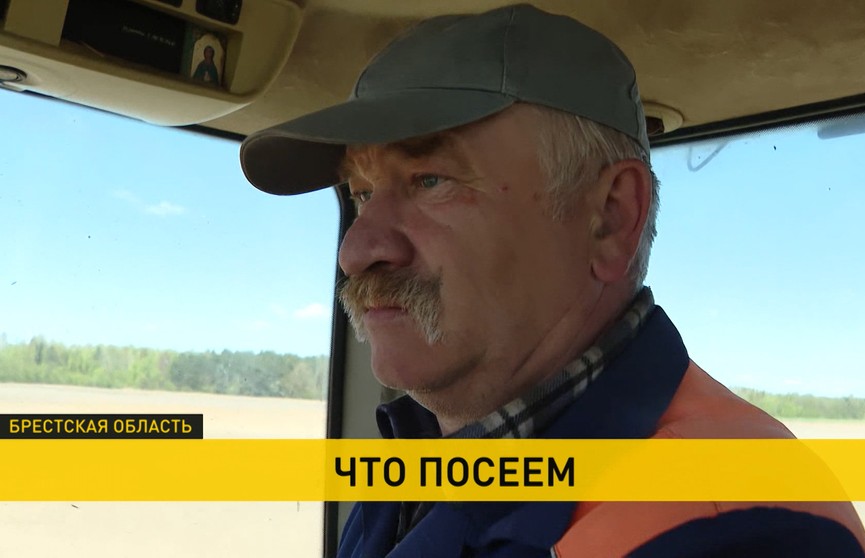 Белорусские аграрии завершили сев ранних яровых. Репортаж с полей