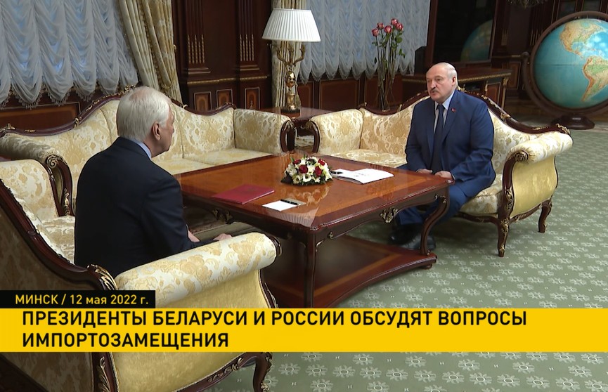Президенты Беларуси и России обсудят вопросы импортозамещения