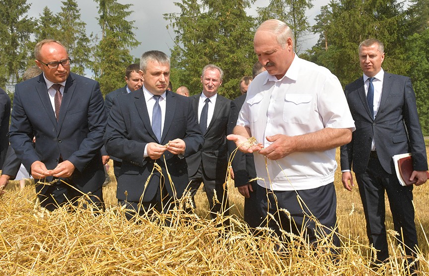 Лукашенко: Выборы выборами, а кушать все хотят. Подробности рабочей поездки Президента в Несвижский район