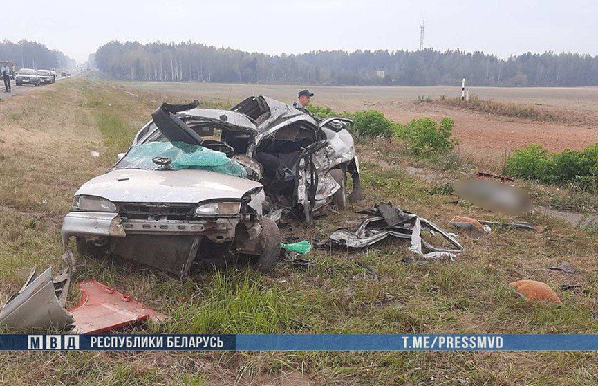 Под Рогачевом Ford не уступил дорогу фуре – погибли два человека