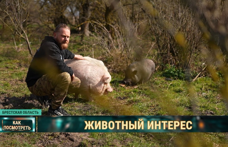 «Хорошие люди»: Белорус выкупил заброшенную деревню и строит ферму. Ее заселяет старыми или спасенными животными