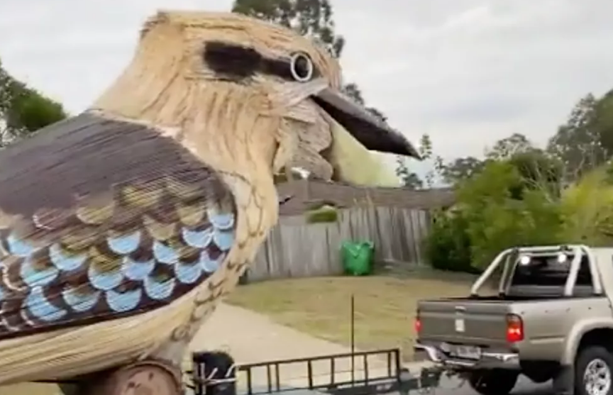 Житель Австралии сконструировал 4,5-метрового смеющегося зимородка