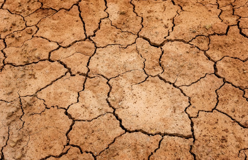 В Италии заявили, что более четверти территории страны грозит засуха
