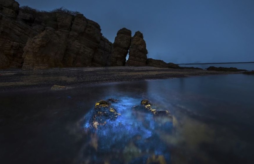 «Голубые слёзы»: необычное голубое свечение привлекло туристов со всего мира