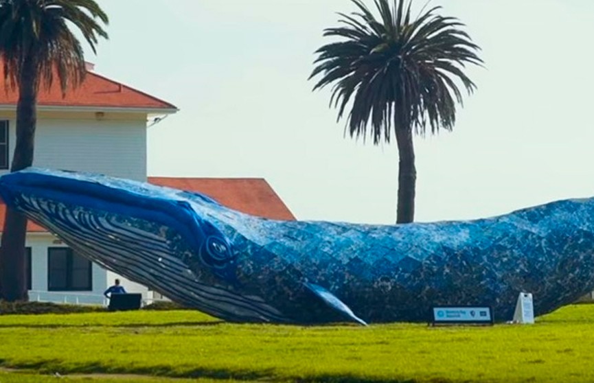 Гигантского кита из переработанного пластика сделали в США