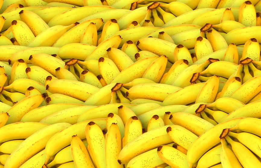 В Петербурге в контейнере с бананами обнаружили наркотики