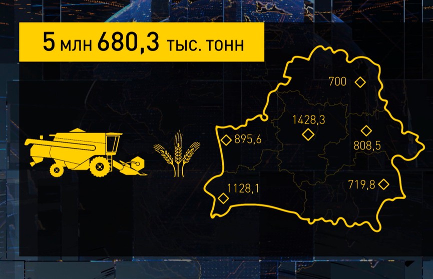 Уборочная-2021: более 5,5 млн тонн – в закромах