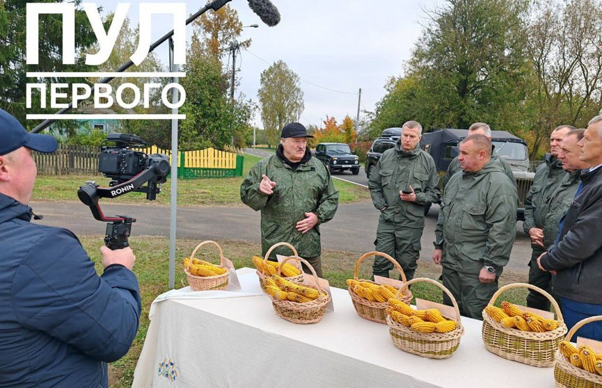 Мы отстаем от Запада. А. Лукашенко вынес вердикт по выращиванию экспериментальных сортов кукурузы