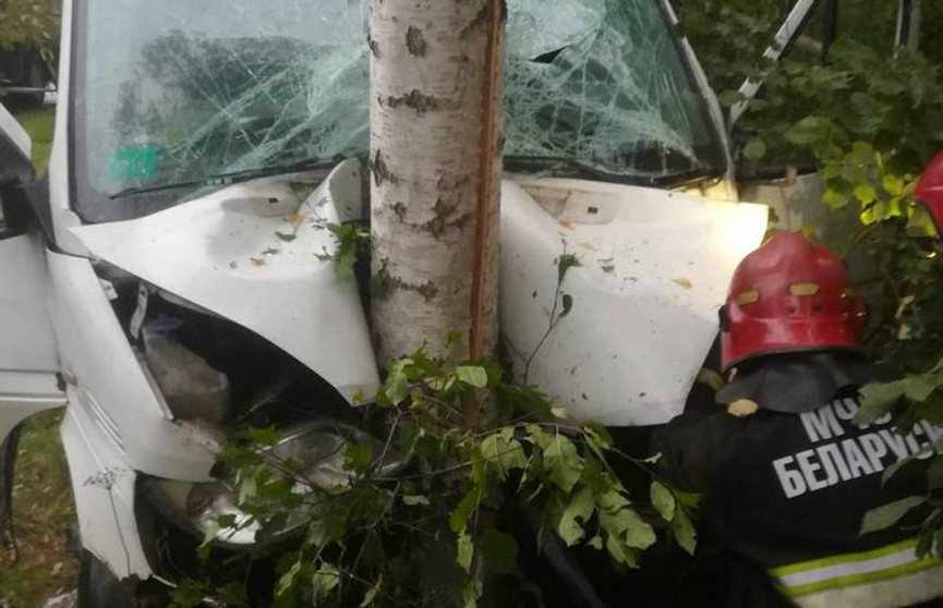 «Мерседес» съехал в кювет и столкнулся с деревом в Лепельском районе: водителя пришлось деблокировать