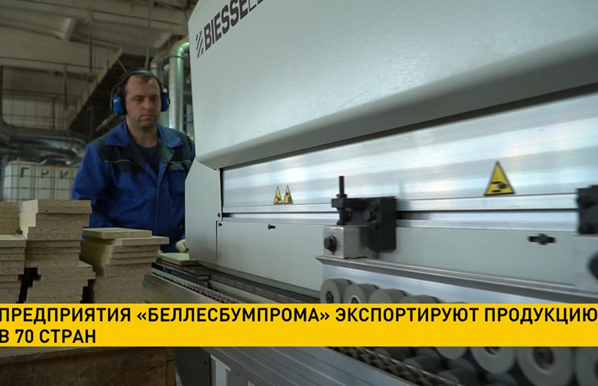 Предприятия «Беллесбумпрома» в 2020 году увеличили экспорт на 5%