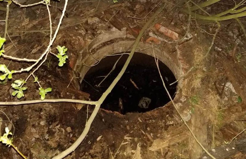 Дело об утоплении ребёнка в колодце в Калинковичском районе: установлен подозреваемый