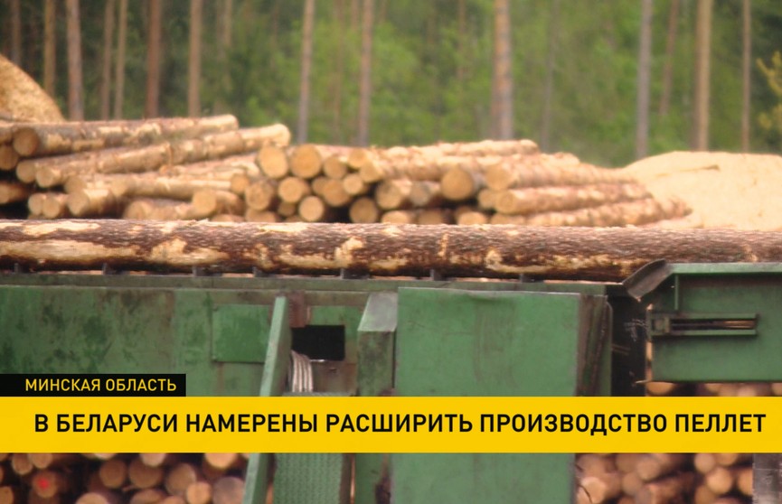 Пеллетное производство запустили в Борисовском районе