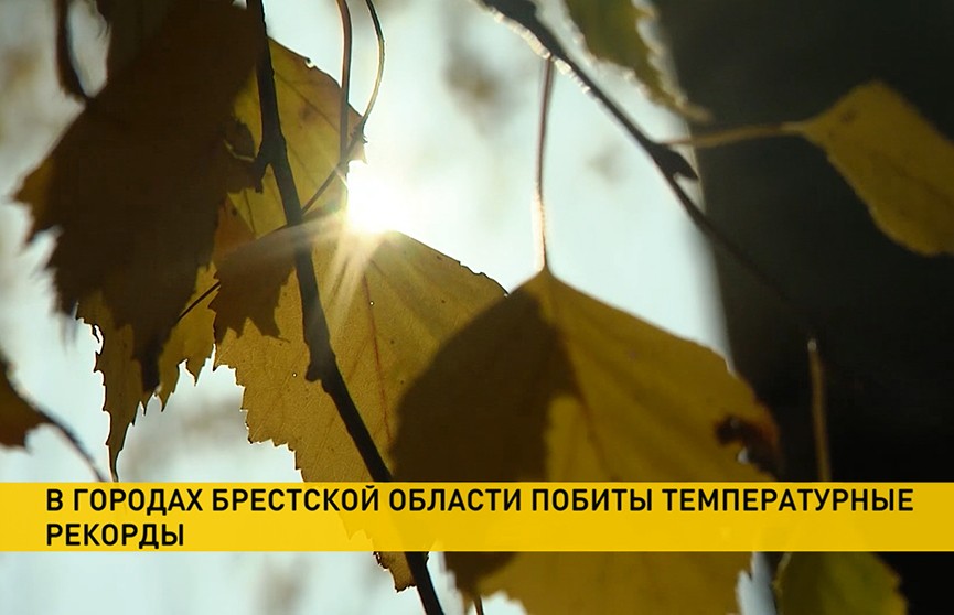 В Брестской области побиты температурные рекорды