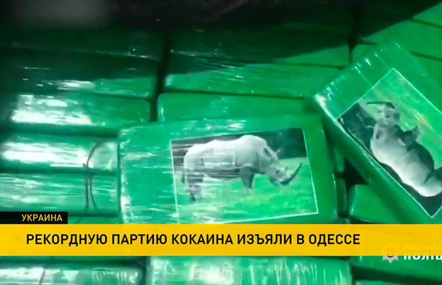 Наркотики в бананах: более 250 кг изъяли в порту Одессы