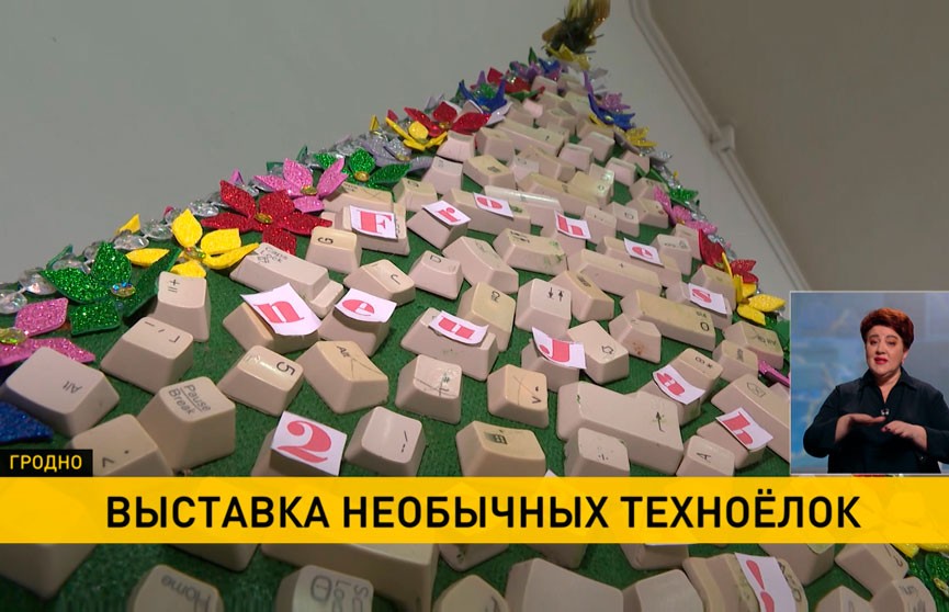 В Гродно проходит выставка «ТехноЕлка»
