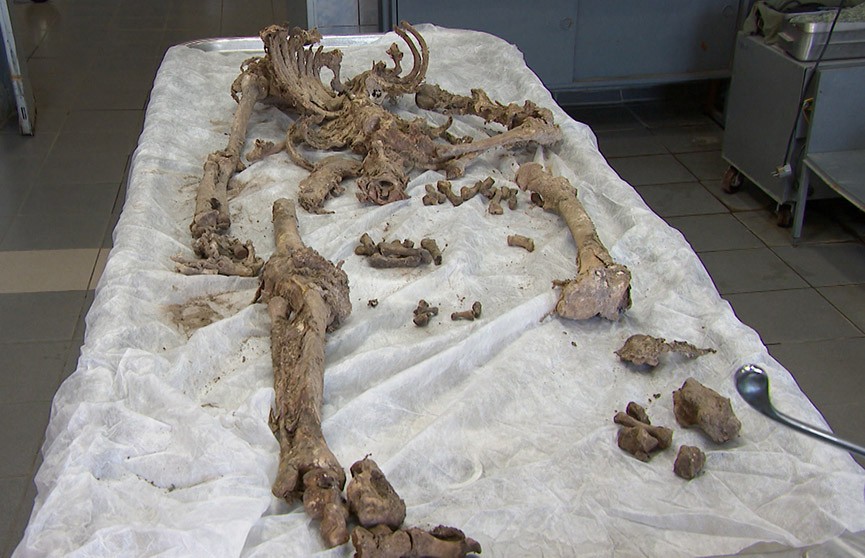 Скелет, найденный в заброшенном доме в Смолевичском районе, «заговорил». Журналистское расследование «Тревожной кнопки»