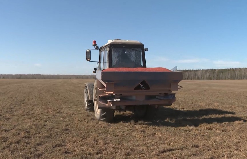 Аграрии во всю готовятся к посевной-2022: посмотрели, как это происходит в Могилевской области