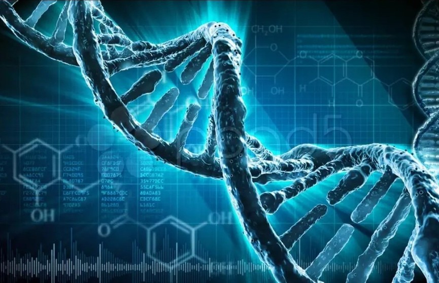 На что влияют гены и как избавиться от негативных предрасположенностей?