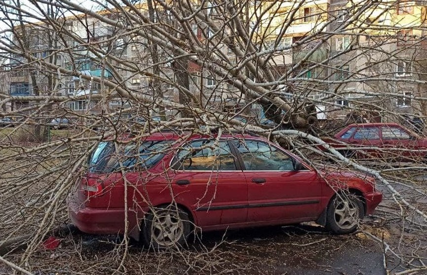Поваленные деревья и сорванные крыши: в МЧС рассказали о последствиях непогоды в Беларуси 19 февраля
